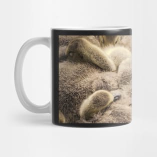 Snuggling gosling family Mug